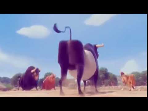 Touro Ferdinando dançando o Créu na velocidade 5