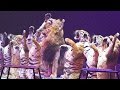 Can The Circus Survive Without Elephants