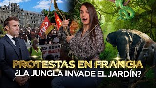 Protestas y desabastecimiento en Francia: ¿la jungla crece en el jardín europeo?