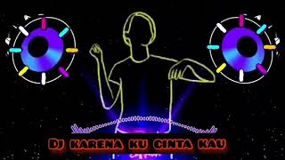 Download lagu Dj karena ku cinta kau mp3