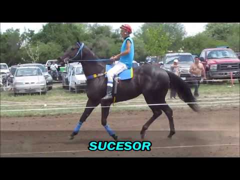 Sucesor, Pista Don Sohar (10-12-17)