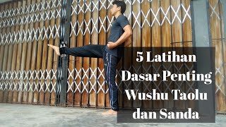 Download lagu 5 ESSENTIAL Basic Wushu Taolu and Sanda Exercises mp3 Download lagu 5 ESSENTIAL Basic Wushu Taolu and Sanda Exercises mp3