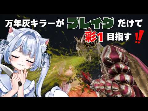 【DBD】万年灰キラーがプレイグのみで彩1を目指す🤮【VTuber/猫乃まるみ】