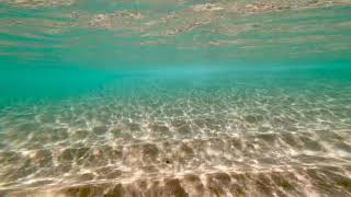 生中継　ハワイノースショアーの波の音