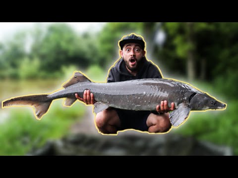 My FIRST time Sturgeon Fishing 😳