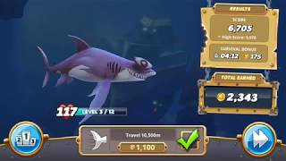 Play with smooth hammerhead video 55