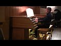 Nigel Ogden - Penguins' Playtime