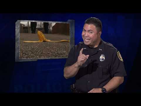 Did You Know?  Throwing trash out of vehicle