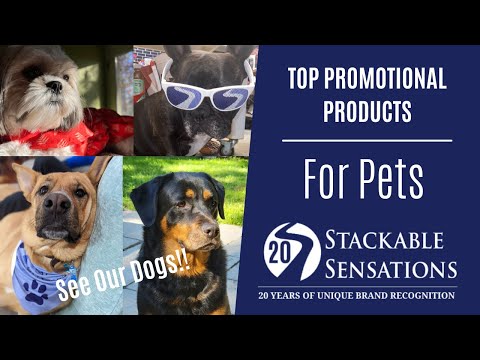 Top Pet Promotional Products || Stackable Sensations