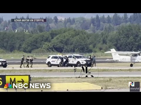 Suspect taken into custody after stealing small plane in Canada