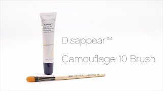 jane iredale Disappear Concealer 