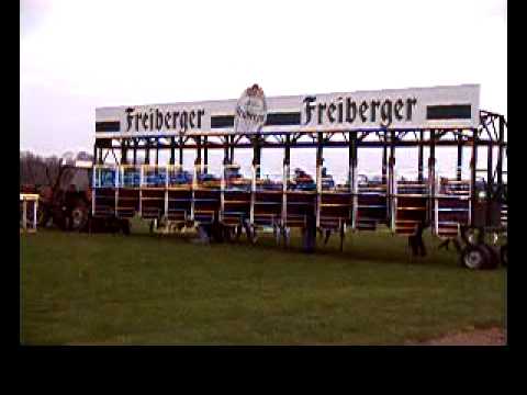 Pferderennen in Dresden 2010