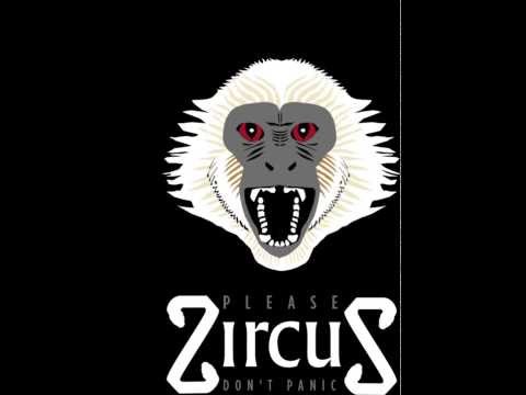 ZircuS - No Panic (remix cover)