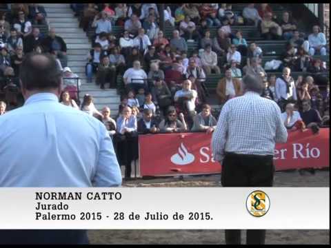 28-07-15 Norman Catto ( Jurado Shorthorn ) - Palermo 2015.
