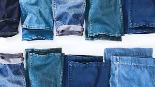 Lane Bryant Signature Fit