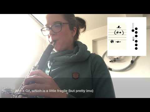 Bb Clarinet Multiphonic #92 - Explanation/Exploration