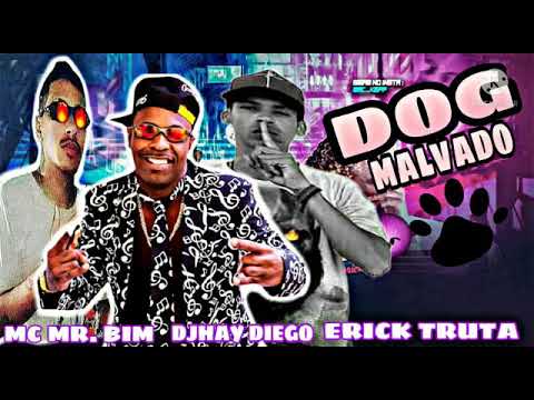 MC MR. BIM É DJHAY DIEGO É ERICK TRUTA / JHONNY NA BATIDA - DOG MALVADO - REMIX BREGA FUNK 2021