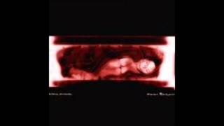 mike wade  open window - techno 2001