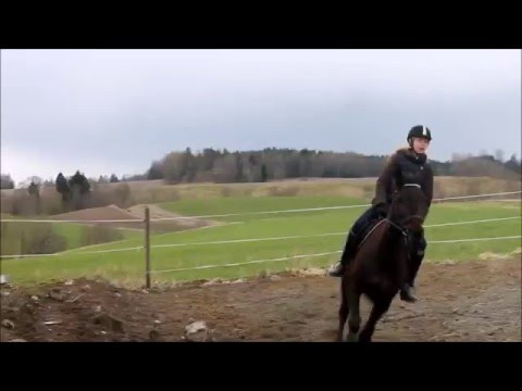 Galopp Michell-28.04.16