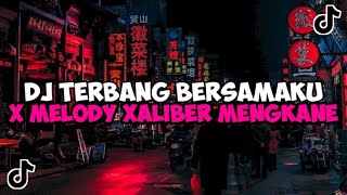 Download lagu DJ TERBANG BERSAMAKU X MELODY XALIBER JEDAG JEDUG MENGKANE VIRAL TIKTOK mp3