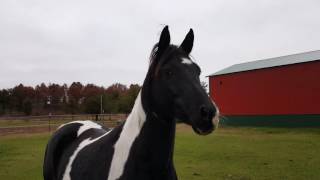 She's back to her old self!