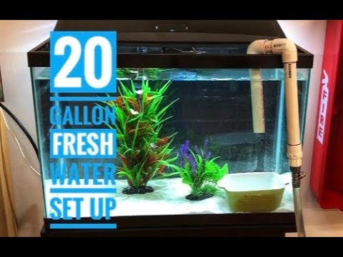 Setting up a 20 Gallon Freshwater Fish Tank/Aquarium