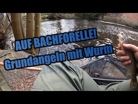 AUF BACHFORELLE! - Grundangeln mit Wurm