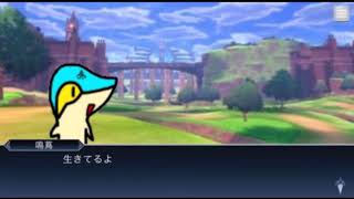 【鳴蔦】近況報告 2021-2-25