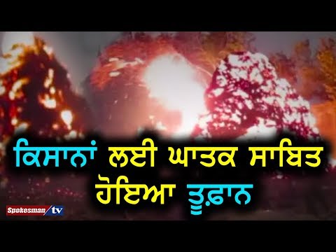 ਕਿਸਾਨਾਂ ਲਈ ਘਾਤਕ ਸਾਬਿਤ ਹੋਇਆ ਤੂਫ਼ਾਨ