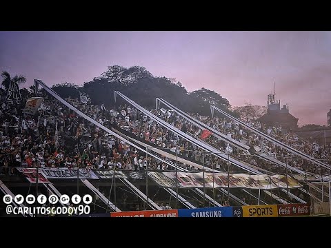 "Por mis venas corre la cerveza | Olimpia vs Gral Diaz | Clau 2019 Fecha 12" Barra: La Barra 79 &bull; Club: Olimpia