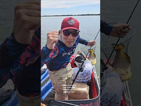 pesca de pacues con masa en paso de la patria corrientes BUNKER FISH #pesca #pescaria #corrientes