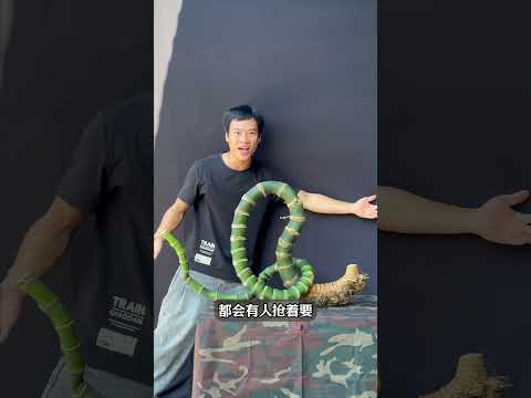 越南农民一年赚上百万的秘密