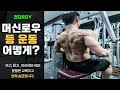 등 운동, 머신 로우(Machine row) ,헬스장 초보, 헬스장기구사용법, 헬스장 운동기구 사용법 @건디ROY