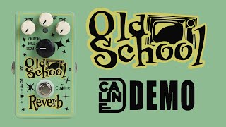 Video thumbnail for Caline - Old School Reverb - Demo (5 Series) by Ryan Lutton