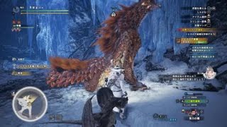 【MHWI】オトモアンジャナフとの連携プレイでカガチ亜種をハメ倒す