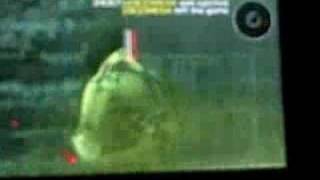 holy-snake vs heaven bullet