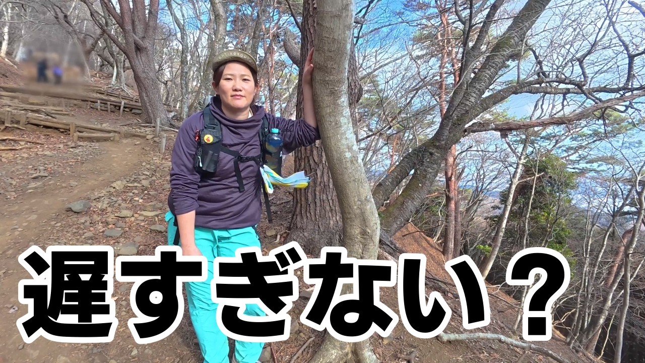 【丹沢塔ノ岳】休憩しながら、ゆっくり下山。