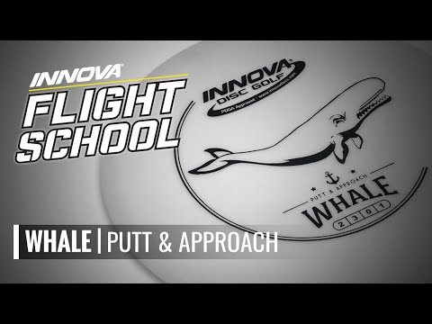 Flight School: Whale