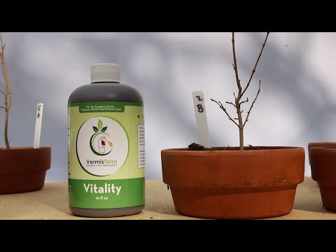 Bonsai Soil Test 3.3: Final Results!!