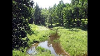 Рыбалка на красном пруду в ломоносове
