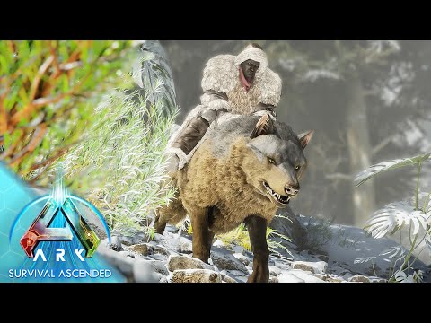Making A Direwolf Army! | Ark: Survival Ascended Gameplay #7