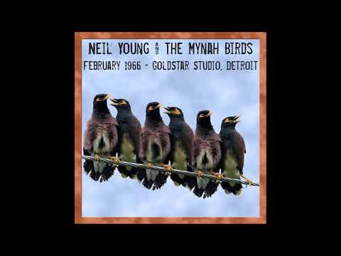 Neil Young & The Mynah Birds feat. Rick James Live at Goldstar Studio, Detroit - 1966 (audio only)