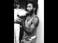 lee scratch perry - emperor haile selassie ligth