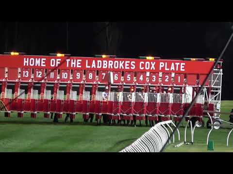 Chautauqua - The Protest Horse