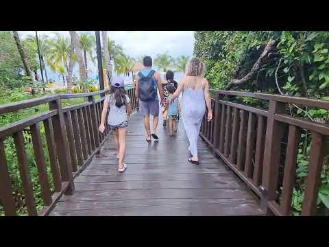 Videos del Occidental Cozumel 5★ en Cozumel, MéxicoVer MásVerPrecios18CerrarConsulta por Whatsapp 🇦🇷BookingTripadvisorExpediaAgodaTravelocityOrbitzPricelineTripSkyscannerKayakHotelesDestiniaTrivagoTurismocityAlmundoLastminuteHotwireCheaptickets