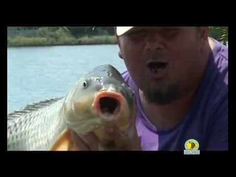 Mincinosii - 4 august 2013