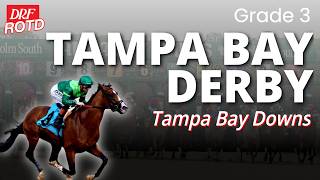 G3 Tampa Bay Derby Picks & Analysis | DRF Saturday ROTD