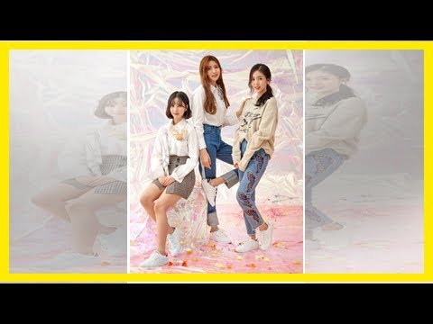 [GFRIEND][分享]181117 新晉團寵忙內灰塵寶的勝利論Buddy是如何失寵的...