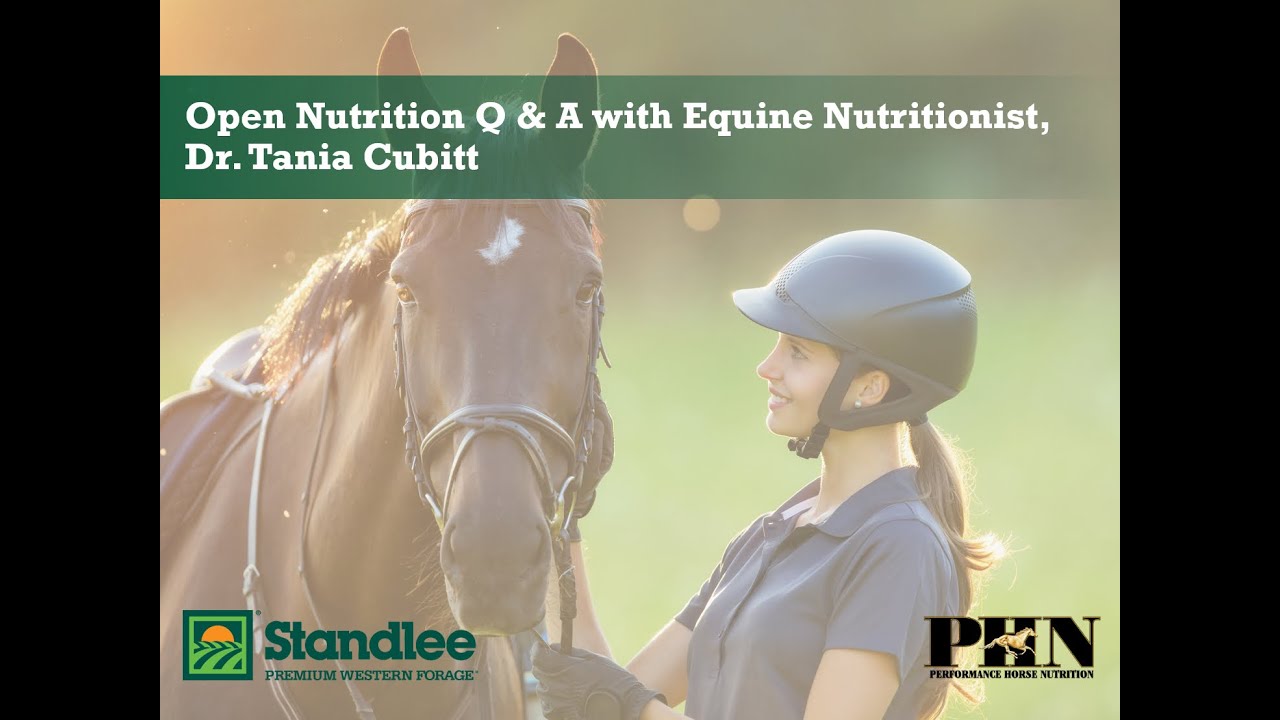 Open Nutrition Q & A with Equine Nutritionist, Dr  Tania Cubitt