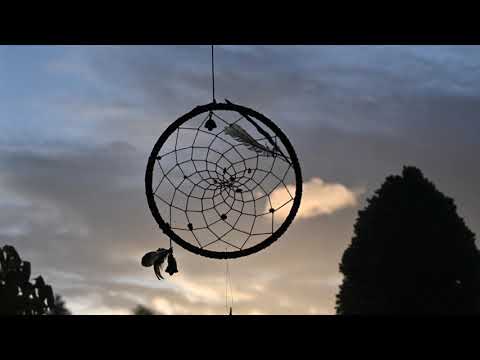 Tutti April 2024 07 Morgenvogel mit Hang Massive und The Many Rivers Ensemble